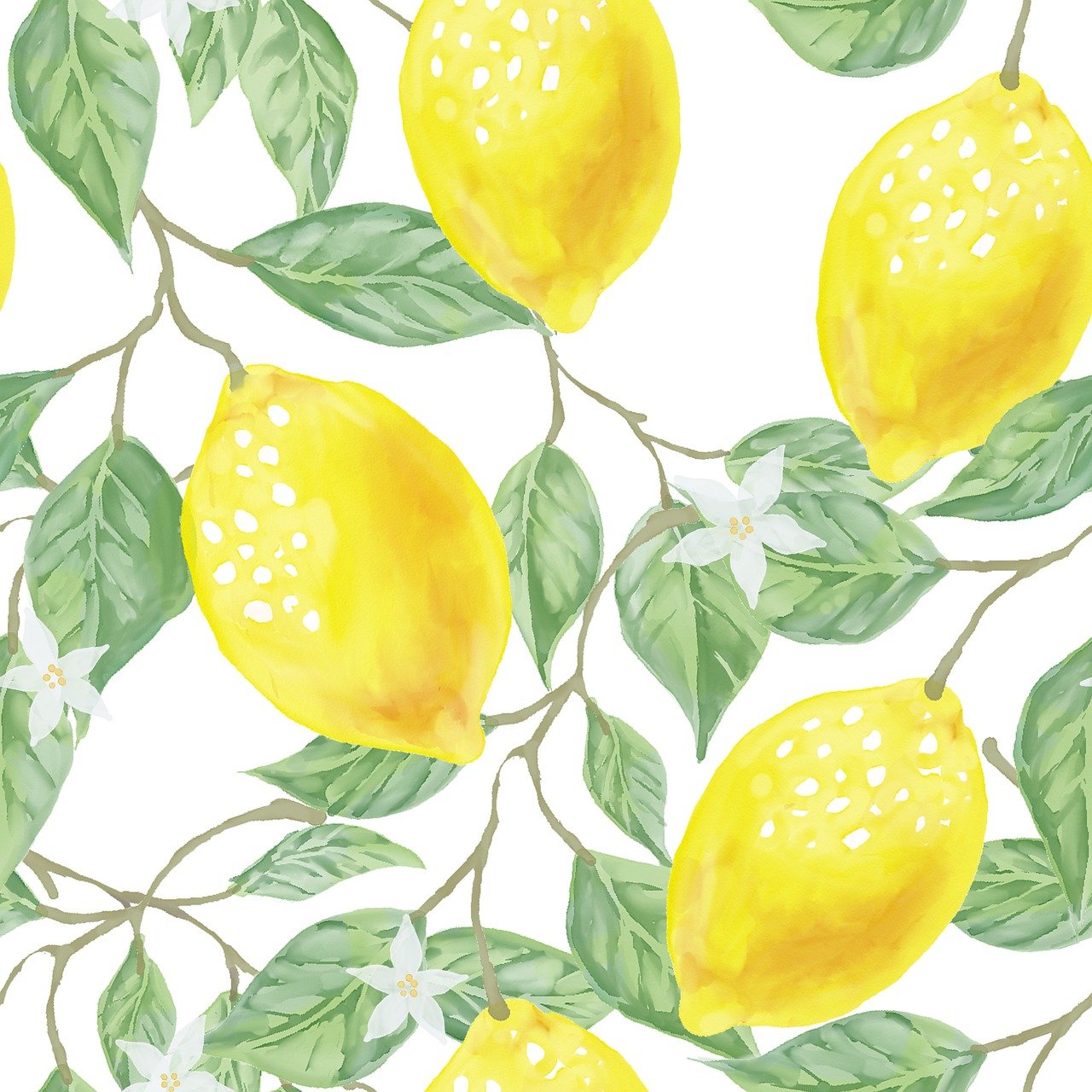 Récolte des citrons : astuces pour des fruits sains et savoureux